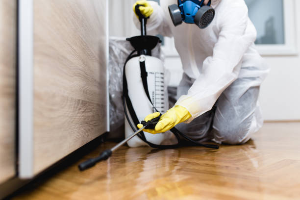 Best Pest Inspection Near Me  in Stock Island, FL