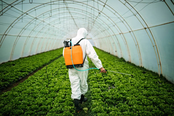 Reliable Stock Island, FL Pest Control Solutions
