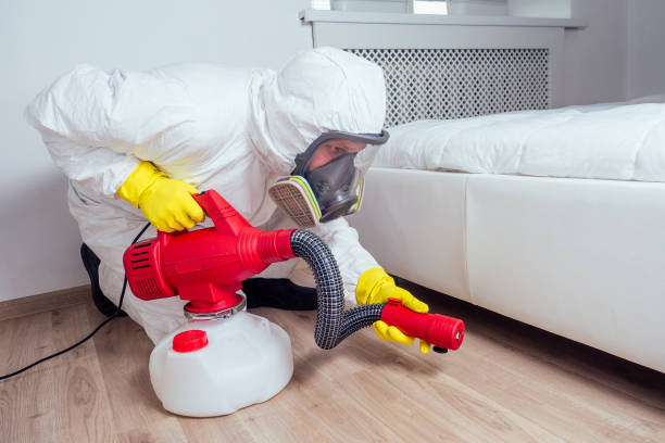 Best Best Pest Control Companies  in Stock Island, FL