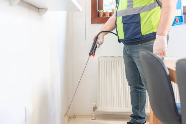 Best Termite Control Services  in Stock Island, FL