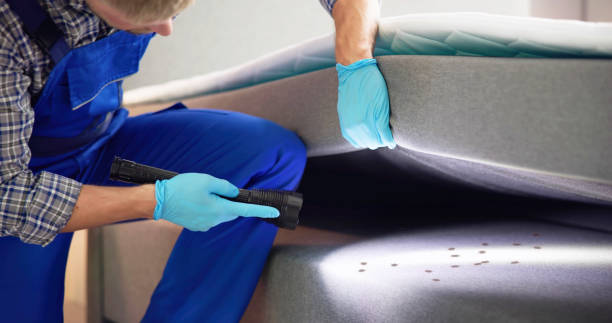 Best Mosquito Control Services  in Stock Island, FL